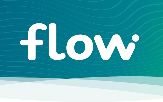LV Flow Logo